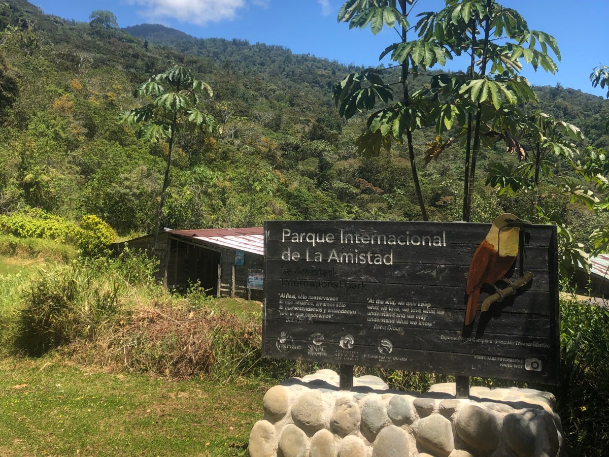 Entre Costa Rica y Panamá, se pajarea en La&nbsp;Amistad