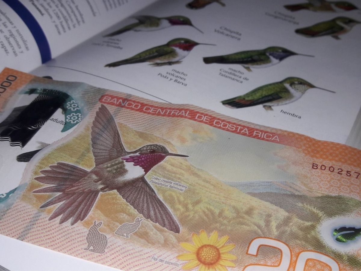 Las aves en la numismática&nbsp;costarricense